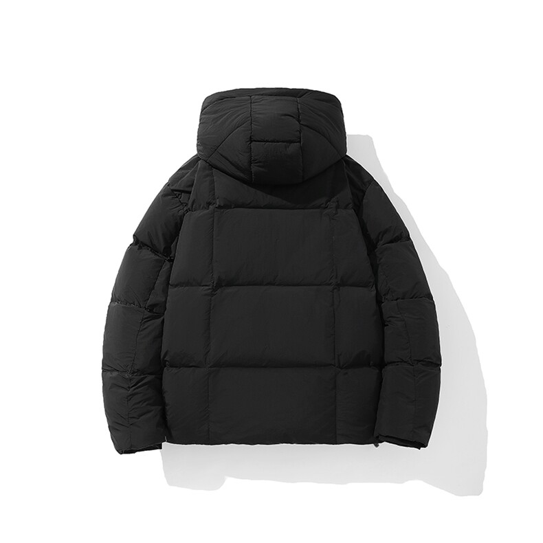 新标90白鸭绒简约休闲连帽外套纯色加厚羽绒服ESY0209-P210,男装羽绒服,电商B306