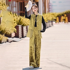 两件套女2025秋季时尚气质无袖单排扣丝绒套装，女装套装/套裙，天丝秀