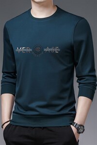 2023秋季新款长袖上衣男士中年圆领薄款印花体恤韩版潮流休闲卫衣图片