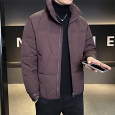 50白鸭绒男装羽绒服2025新款冬季外套C317-Y1808-P195，男装羽绒服，电商C317