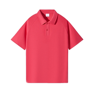 百搭纯色POLO衫男女款大版纯棉打底衫团体班服高克重品质图片