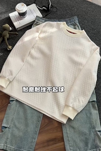 2026 春季新款 港风切片没打肌理感圆领卫衣M-5X HW26180-特P25图片
