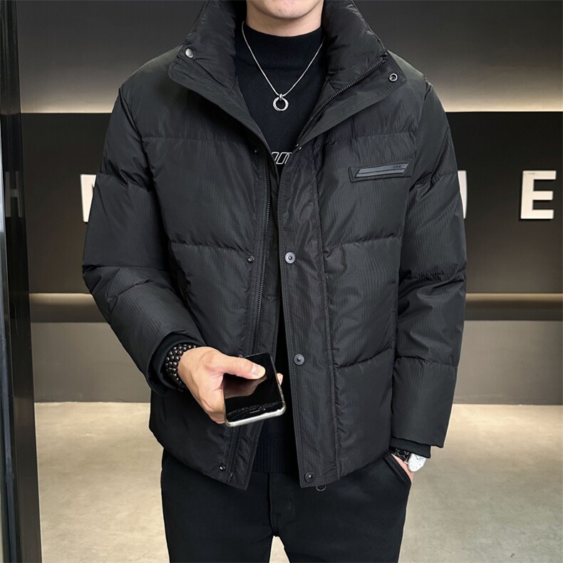 冬季羽绒服男2025新款立领加厚保暖轻薄款外套C317-Y9903-P195,男装羽绒服,电商C317