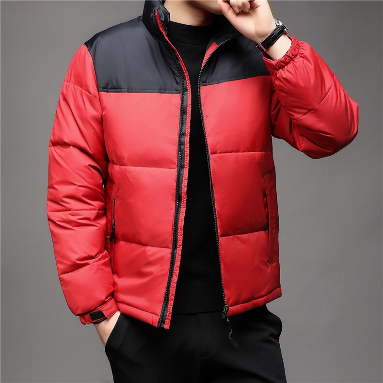 秋冬季新款立领羽绒服男士白鸭绒轻薄潮服休闲潮流韩版保暖外套,男装羽绒服,钱塘6003（原4033）