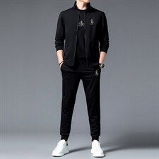 中年运动套装男春秋季休闲运动服男士外套卫衣爸爸秋装套装两件套，男装休闲套装，电商B212（原钱塘6029）