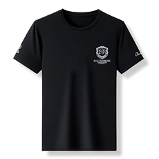 2023夏季新款短袖T恤半袖短裤休闲运动套装中老年运动服两件套，男装T恤，电商B212（原钱塘6029）