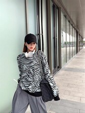 斑马条卫衣S-M，女装卫衣/绒衫，尚映