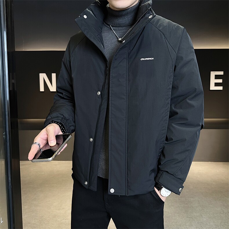 标50短款立领纯色羽绒服男B321-Y7901-P225,男装羽绒服,电商B321-1