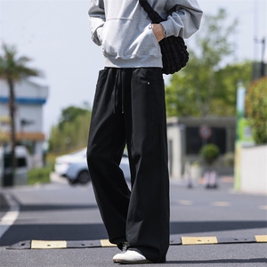 2025秋季新款现货纯棉水洗直筒裤工装休闲长裤DSA157B-K2535-P60图片