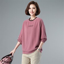 【全年有货，永不下架】卫衣女春秋韩版宽松刺绣洋气休闲妈妈上衣，女装卫衣/绒衫，3200格调