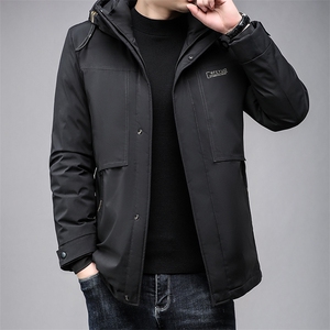 B2363灰鸭绒90绒冬季新款百搭有帽商务休闲中年男士羽绒服图片