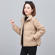 2023年冬季气质立领时尚休闲羽绒服，女装羽绒服，依恋蒂丝