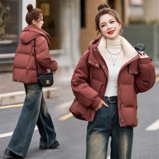 2024冬季新款时尚气质百搭立领保暖舒适拼色连帽短款羽绒服，女装羽绒服，火爆靓佳人