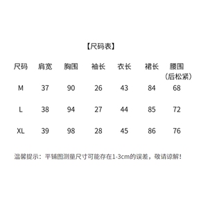 夏装薄款休闲牛仔套装裙女2025新款时尚通勤气质显瘦高级套两件套图片
