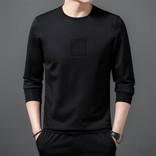 2023新款春季长袖t恤男士圆领卫衣中年上衣男装百搭休闲上衣，男装卫衣，电商B212（原钱塘6029）