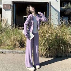 【新款】紫色休闲运动套装2D145-C603-P175-控288图片