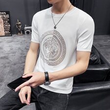 D215/98116#夏季潮男新款薄色冰丝短袖T恤打底衫男，男装T恤，电商D320(原D215)