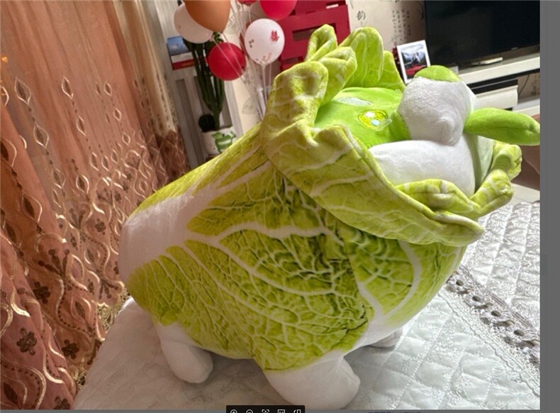 蔬菜精灵白菜狗，诚信玩具礼品
