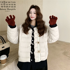 气质百搭小众简约风翻领羽绒服女冬2025新款洋气休闲轻薄保暖外套，女装羽绒服，艾米莉亚