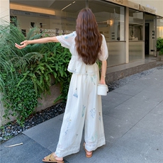 韩版高级感绣花上衣女高腰半身裙2025夏季新款小个子减龄时尚套装，女装套装/套裙，2C305