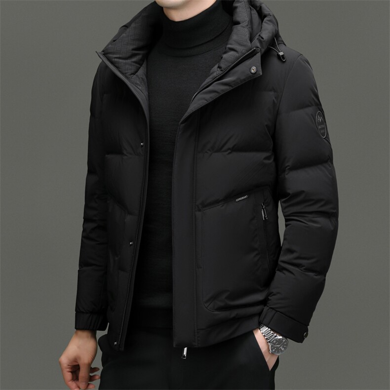 DF23315钱塘2020-2新款冬季时尚百搭连帽简约中年男士羽绒服P293图片