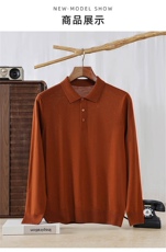 2025年POLO领长袖套头长袖长袖青春流行，男装羊毛衫，冀清阳荣