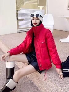[现货]休闲羽绒服、四色、两个尺码图片