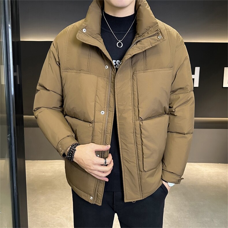 标90白鸭绒 店主风冬季高级感无帽立领羽绒服外套男X8608-P300图片