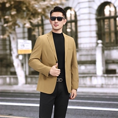 新款男士休闲商务上衣小西装秋季西服178P165，男装西服，电商D225