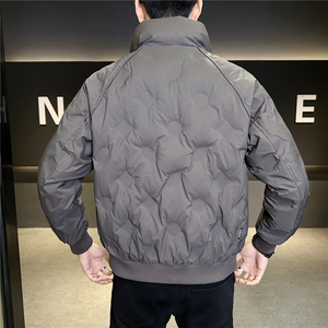 标50白鸭绒男装羽绒服冬季外套B317-88157-P215图片