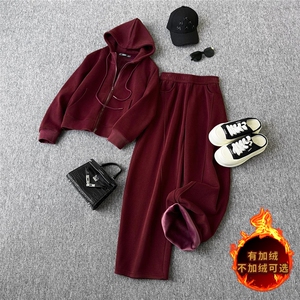 运动休闲时尚套装女秋冬新款高级感拉链开衫连帽卫衣直筒裤两件套图片
