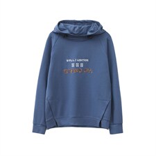2022年秋季新款刺绣卫衣女连帽衫韩版休闲百搭长袖上衣服女棉，女装卫衣/绒衫，忆绮罗