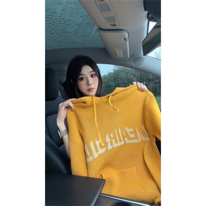 现货 连帽卫衣线衣男女秋冬新款毛衣时尚洋气针织衫上衣情侣图片