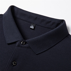 polo衫男士夏季商务翻领保罗刺绣短袖高端t恤爸爸夏装体恤上衣服，男装T恤，电商B212（原钱塘6029）