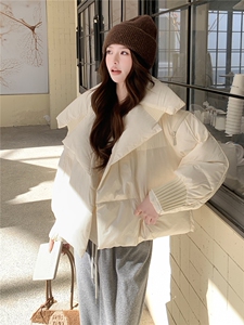衣秀之家2319款短款大翻领加厚时尚羽绒服冬季保暖外套女图片