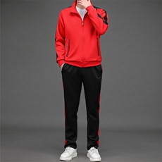中青年男士休闲运动套装春秋季爸爸装男士连帽外套休闲运动服套装，男装休闲套装，电商B212（原钱塘6029）
