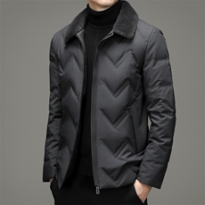 羽绒服男2023年新款冬季立领翻领商务休闲上衣中年加厚保暖外套，男装羽绒服，电商B212（原钱塘6029）