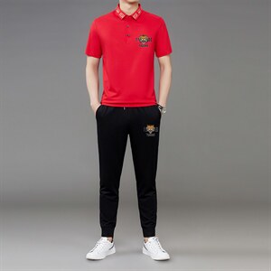 短袖T恤套装男2023夏季新款青年男士冰丝薄款t恤休闲裤两件套男,男装休闲套装,电商B212（原钱塘6029）