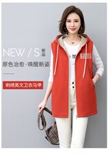 2022年秋季纯色棉常规通勤拉链连帽马夹，女装马甲，依倍林