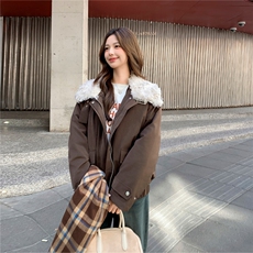 2025冬装新款简约时尚羽绒服205-H056-330-K458，女装羽绒服，浙宝205