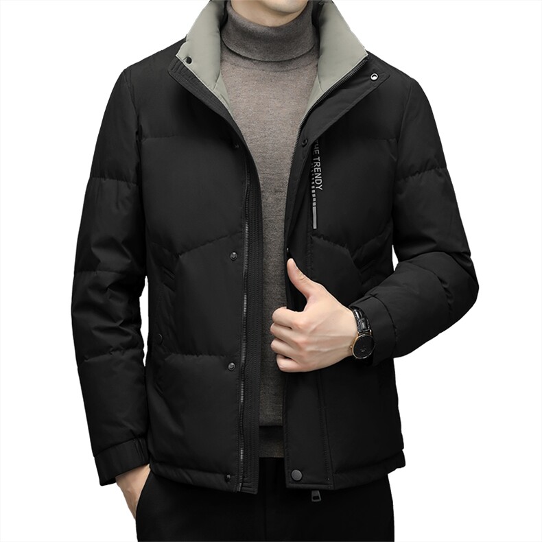CAH9103钱塘2020-2冬季厚款商务休闲简约立领中年男士羽绒服P230,男装羽绒服,钱塘207-2