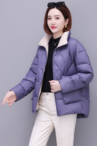 时尚保暖女士棉服 简约立领长袖纯色外套 冬季必备单品图片