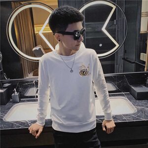 5秋装新款长袖圆领卫衣社会小伙麒麟刺绣个性卫衣C301B-WY04图片