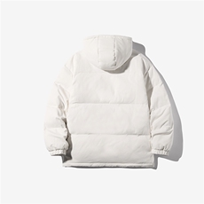 白底冬装新款简约印花百搭白鸭绒连帽羽绒服外套YR137P225控298，男装羽绒服，电商A247-1