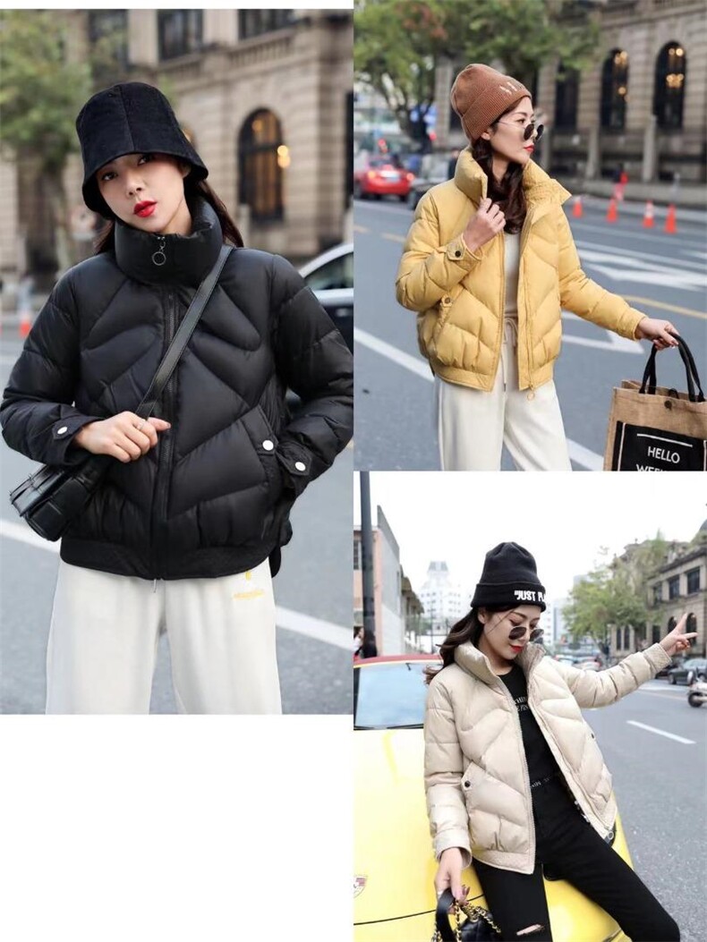 天香百合 YBLY134234