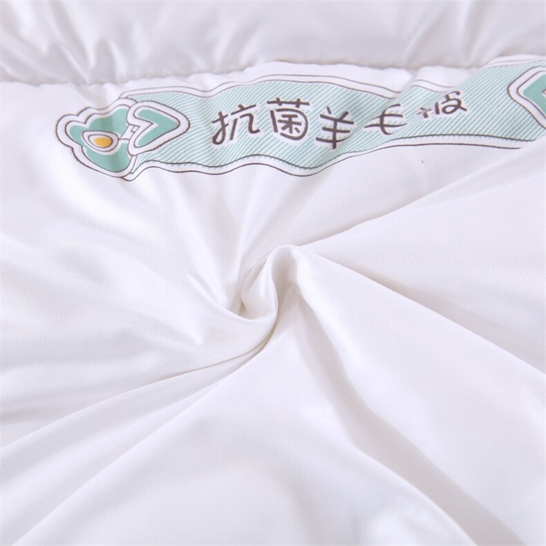 新款抗菌羊毛被被子被芯系列,女装被套/被芯,一起卖家纺