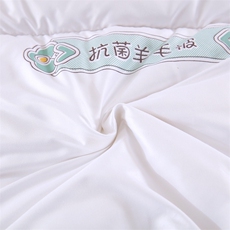 新款抗菌羊毛被被子被芯系列，被套/被芯，一起卖家纺
