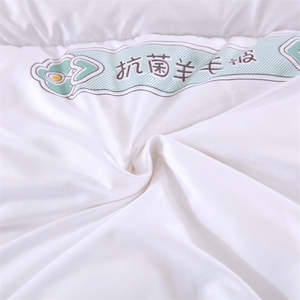 新款抗菌羊毛被被子被芯系列图片