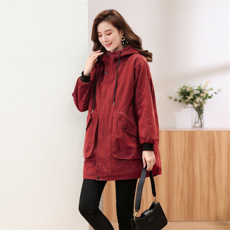 2023年新款派克服加绒加厚棉衣棉服736-1款,女装棉衣/棉服,秋牧寒烟
