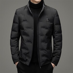 中年男立领羽绒服男短款冬装外套白鸭绒爸爸装上衣XX2189-P250,男装羽绒服,电商B212（原钱塘6029）